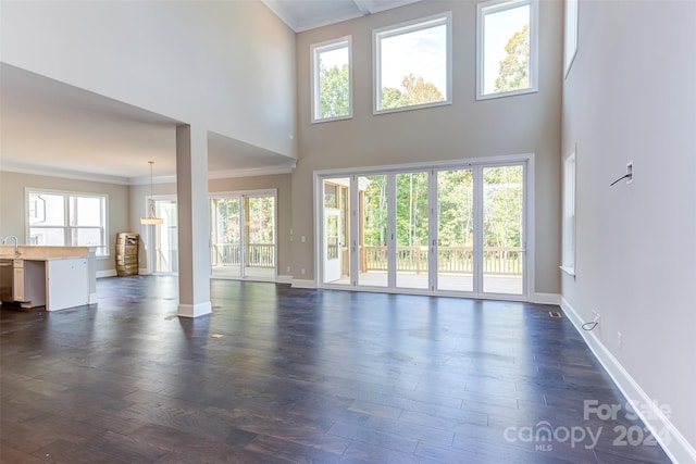 unfurnished living room with sink, dark hardwood / wood-style floors, a high ceiling, and crown molding