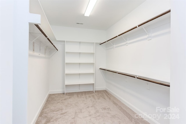 spacious closet with light colored carpet