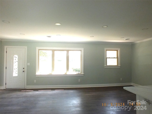 entryway with crown molding, dark hardwood / wood-style floors, and plenty of natural light