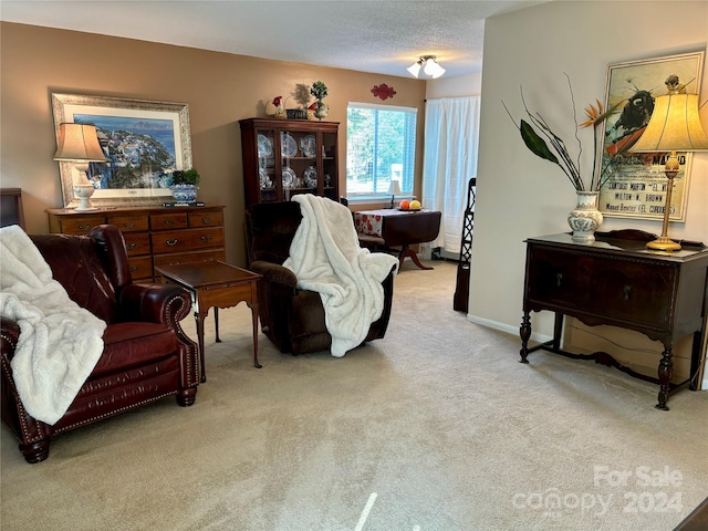 sitting room with light carpet and a textured ceiling