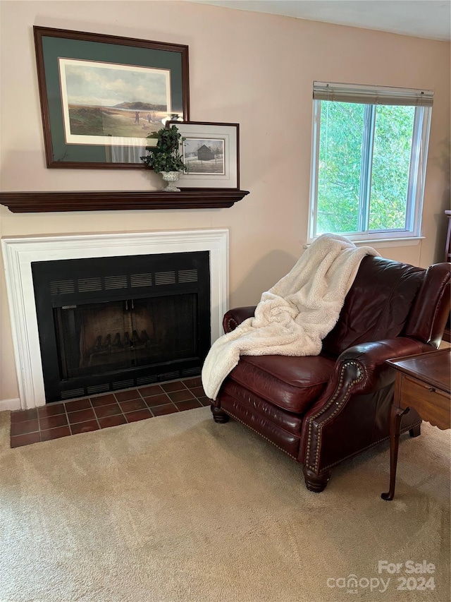 sitting room featuring dark colored carpet