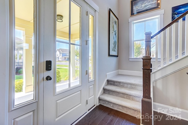 entryway featuring dark wood-type flooring