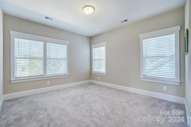 carpeted spare room featuring a wealth of natural light