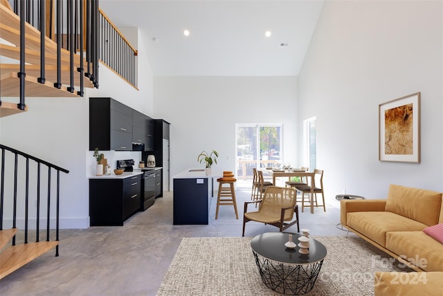 living room featuring a towering ceiling and sink