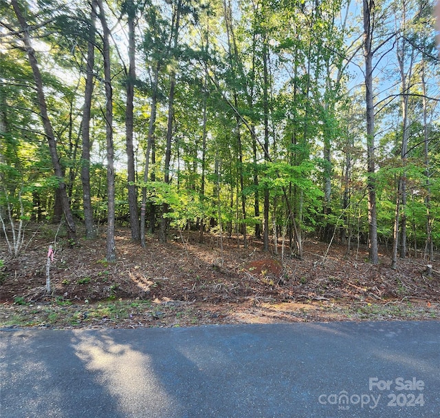 320 Balsam Cir, Troy NC, 27371 land for sale