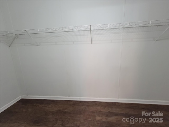 walk in closet featuring dark wood-style floors