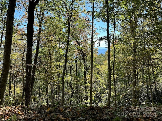 9999 Barn Cove Rd, Clyde, NC 28721