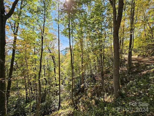 9999 Barn Cove Rd, Clyde, NC 28721