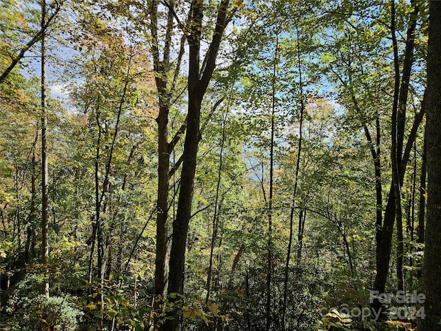 9999 Barn Cove Rd, Clyde, NC 28721