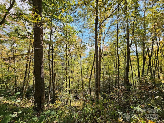 9999 Barn Cove Rd, Clyde, NC 28721