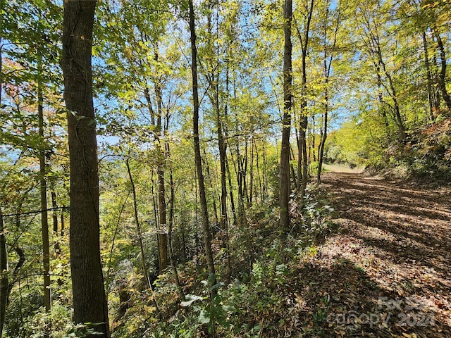 9999 Barn Cove Rd, Clyde, NC 28721