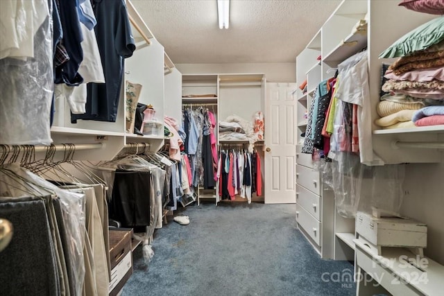 walk in closet with dark carpet