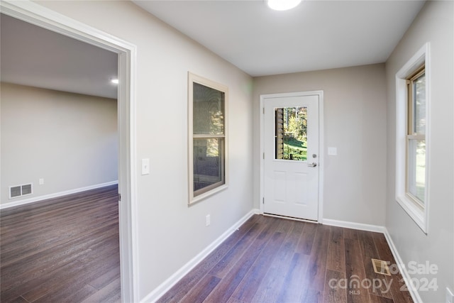 entryway featuring dark hardwood / wood-style flooring