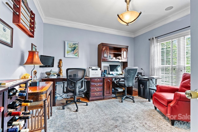 office space with ornamental molding and hardwood / wood-style flooring