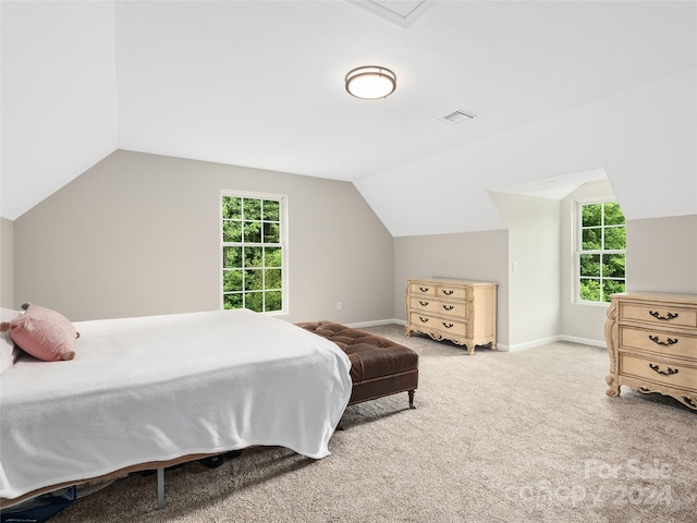 bedroom featuring multiple windows, lofted ceiling, and carpet floors