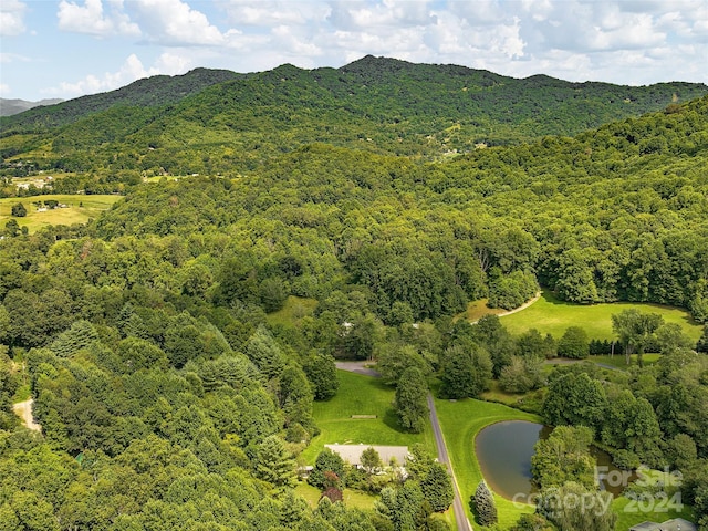 birds eye view of property with a water and mountain view