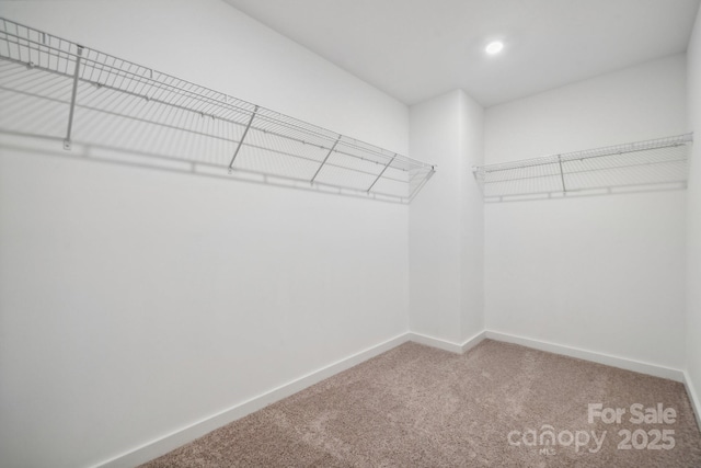 spacious closet with carpet