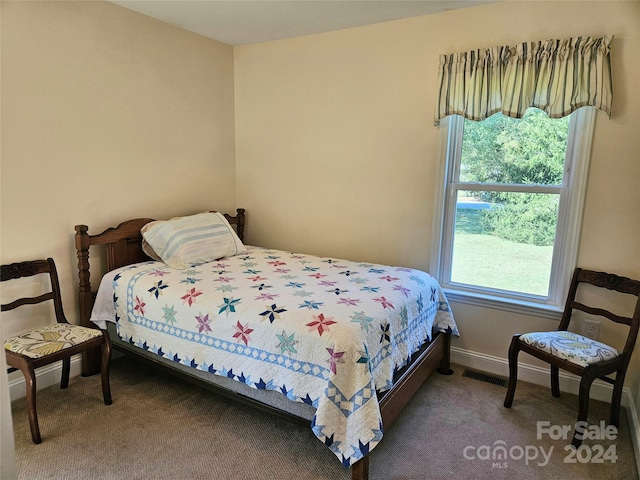 bedroom with carpet floors