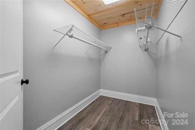 spacious closet with dark wood-type flooring