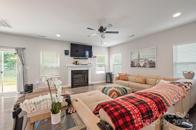 living room with ceiling fan and hardwood / wood-style floors