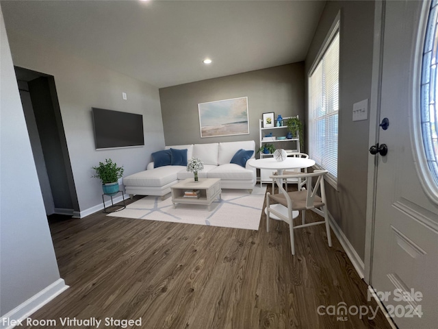 living room featuring wood-type flooring