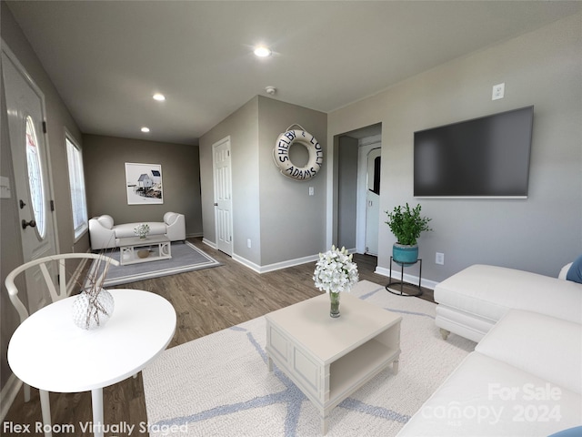 living room featuring hardwood / wood-style floors