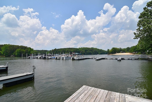 dock area with a water view