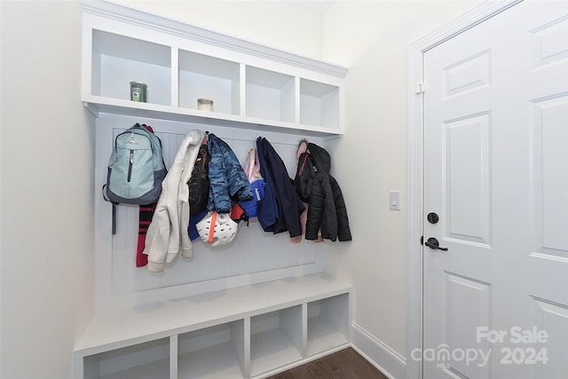 mudroom featuring dark wood-type flooring