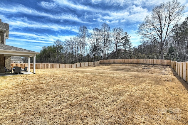 view of yard featuring a patio area