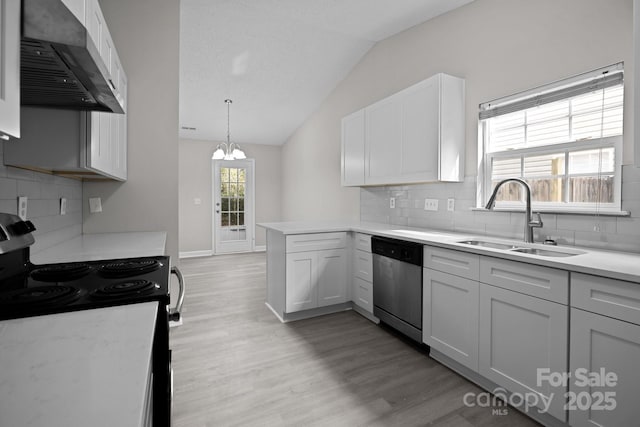 kitchen with dishwasher, sink, white electric stove, extractor fan, and lofted ceiling