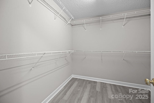 spacious closet featuring hardwood / wood-style floors