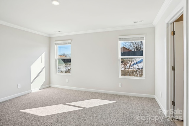 spare room featuring crown molding and carpet flooring