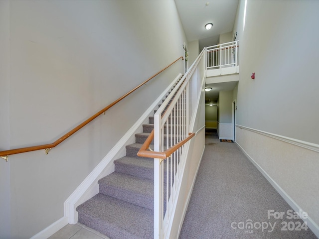 staircase with carpet