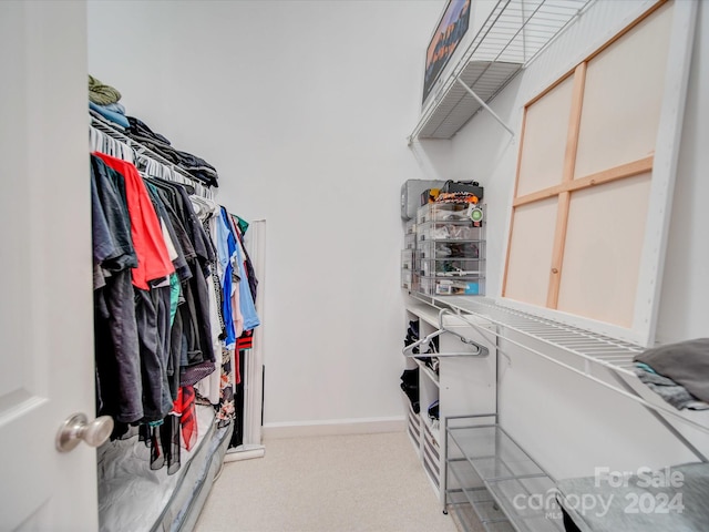 walk in closet with light colored carpet