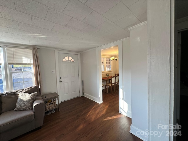 foyer entrance with crown molding and dark wood-type flooring