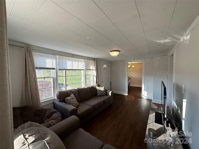 living room featuring ornamental molding and dark hardwood / wood-style floors