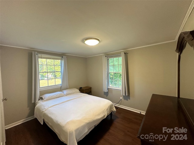 bedroom with crown molding, dark hardwood / wood-style floors, and multiple windows