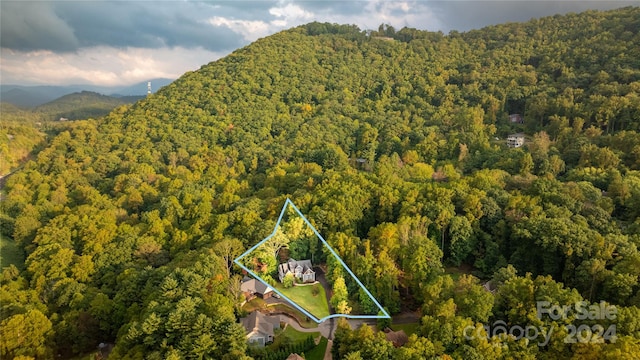 birds eye view of property with a mountain view