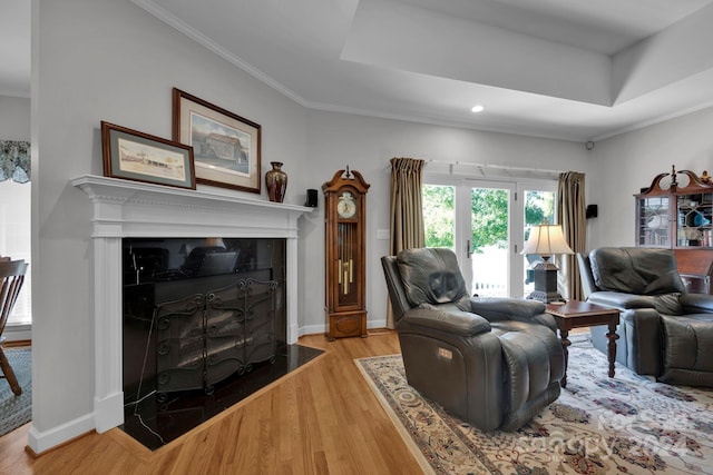 living room with ornamental molding, a raised ceiling, and light hardwood / wood-style floors