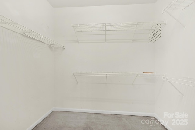 walk in closet with light colored carpet