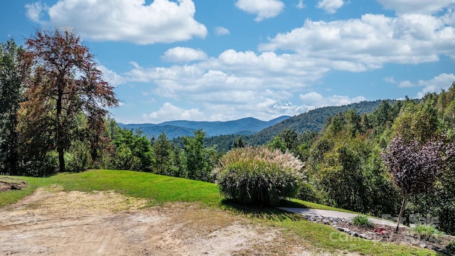 property view of mountains