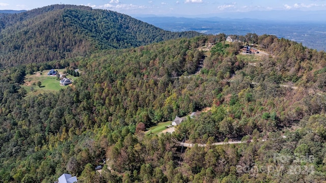 property view of mountains