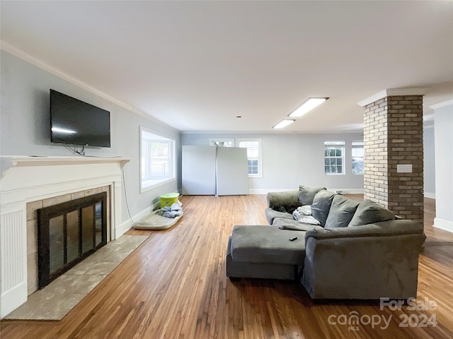 living room with light hardwood / wood-style flooring, a wealth of natural light, and ornamental molding