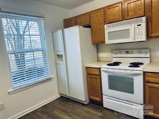 kitchen with white appliances and dark hardwood / wood-style floors