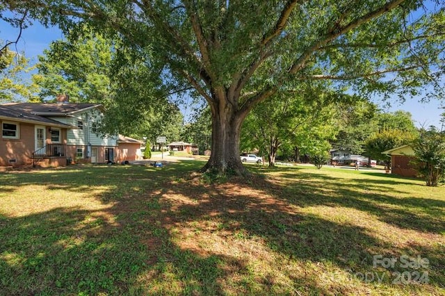 view of yard