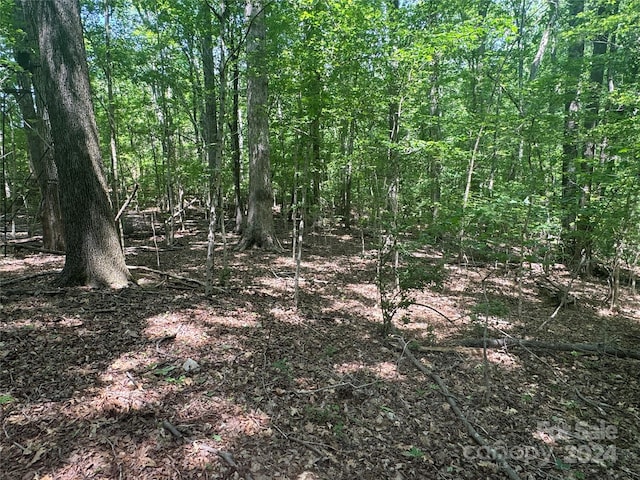 view of landscape