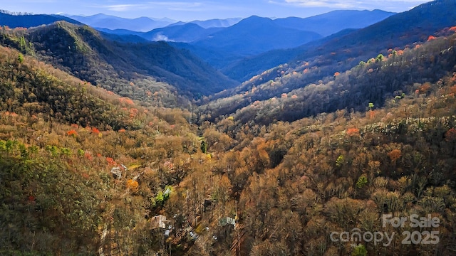 property view of mountains featuring a wooded view