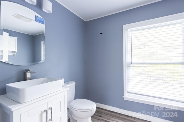 bathroom featuring vanity, wood-type flooring, toilet, and plenty of natural light