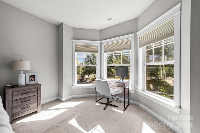 office area featuring light colored carpet