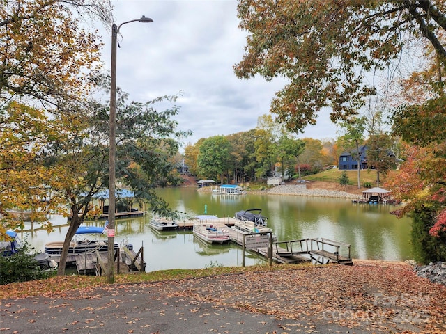 dock area featuring a water view